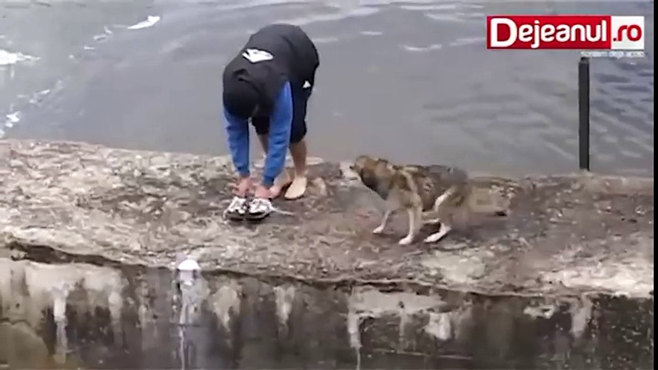 Un homme porte secours à un chien qui est à deux doigts de se noyer...sa réaction est très touchante