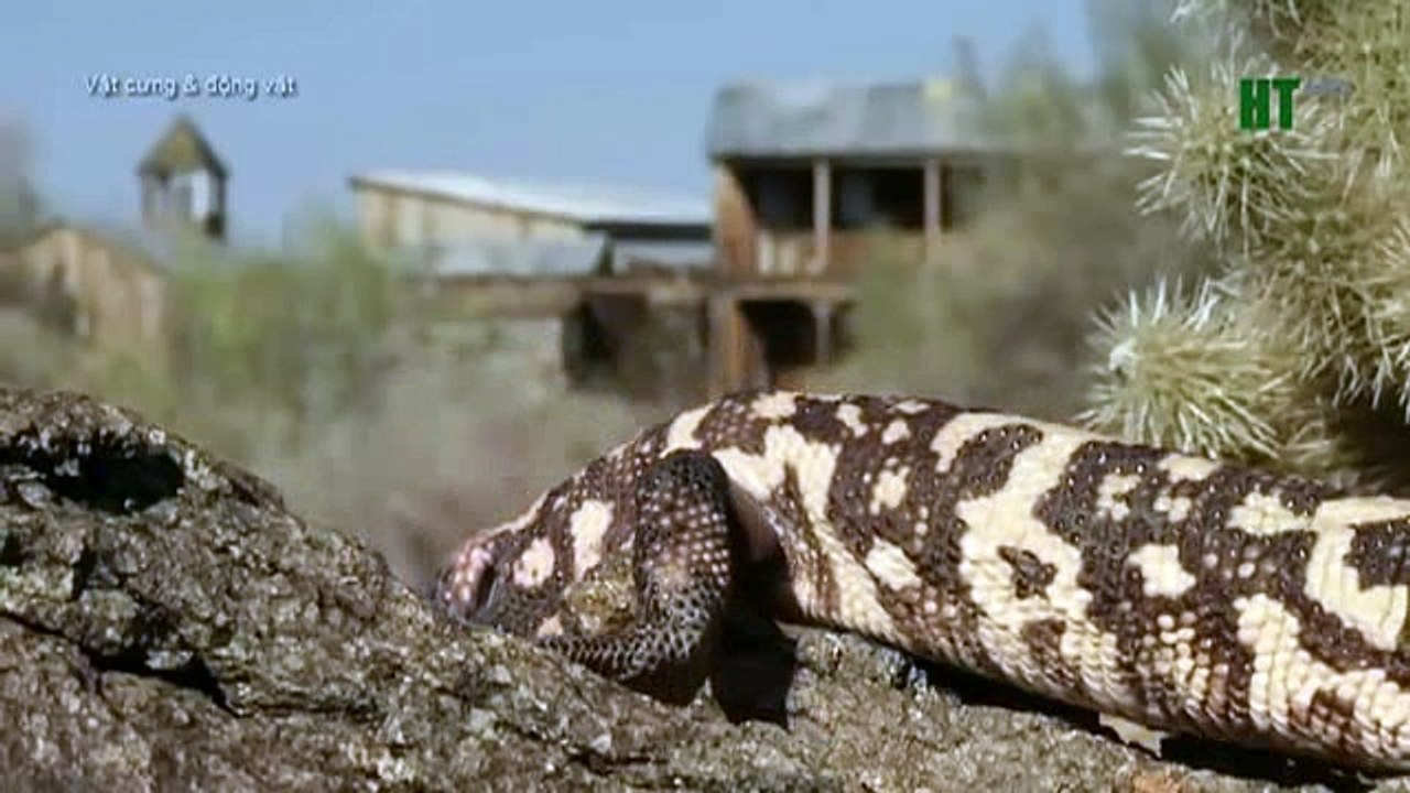 Creative Commons & Copyright Info CBDF (2)