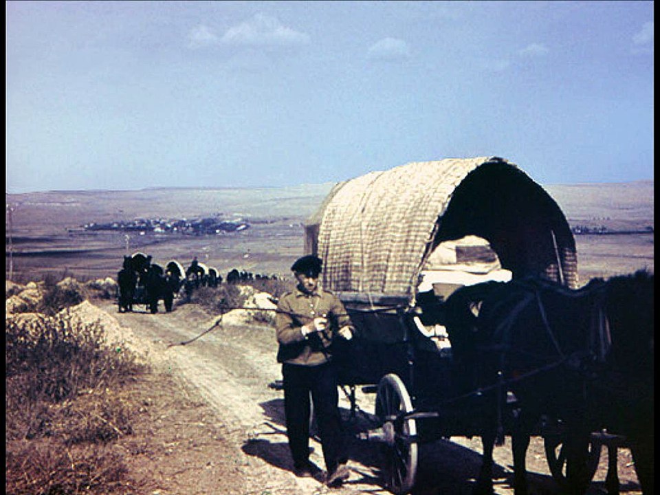 Die Wolhyniendeutschen