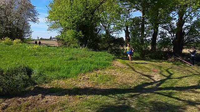 Foulées de Domloup 2016 : La vidéo