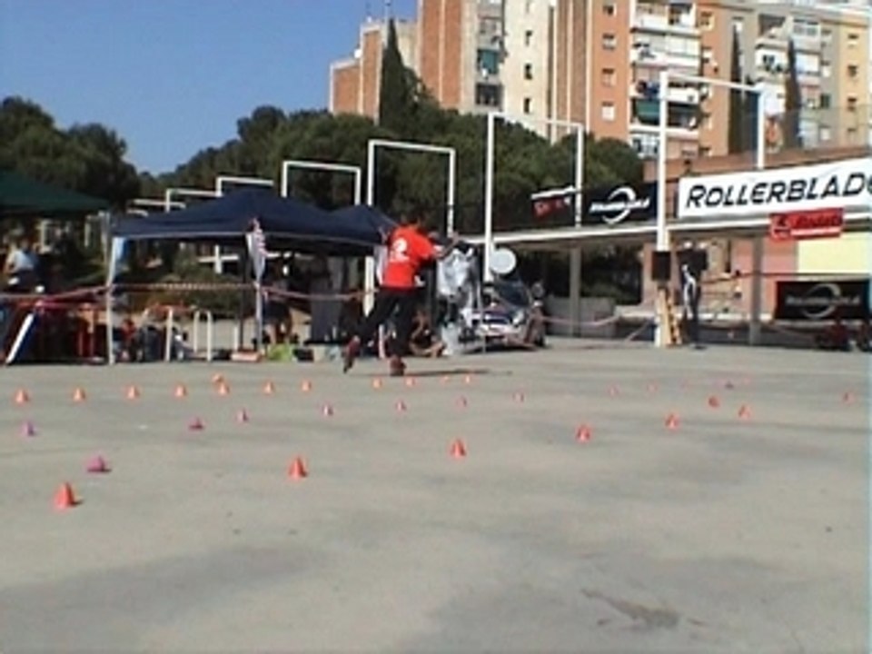 Flores_suelo