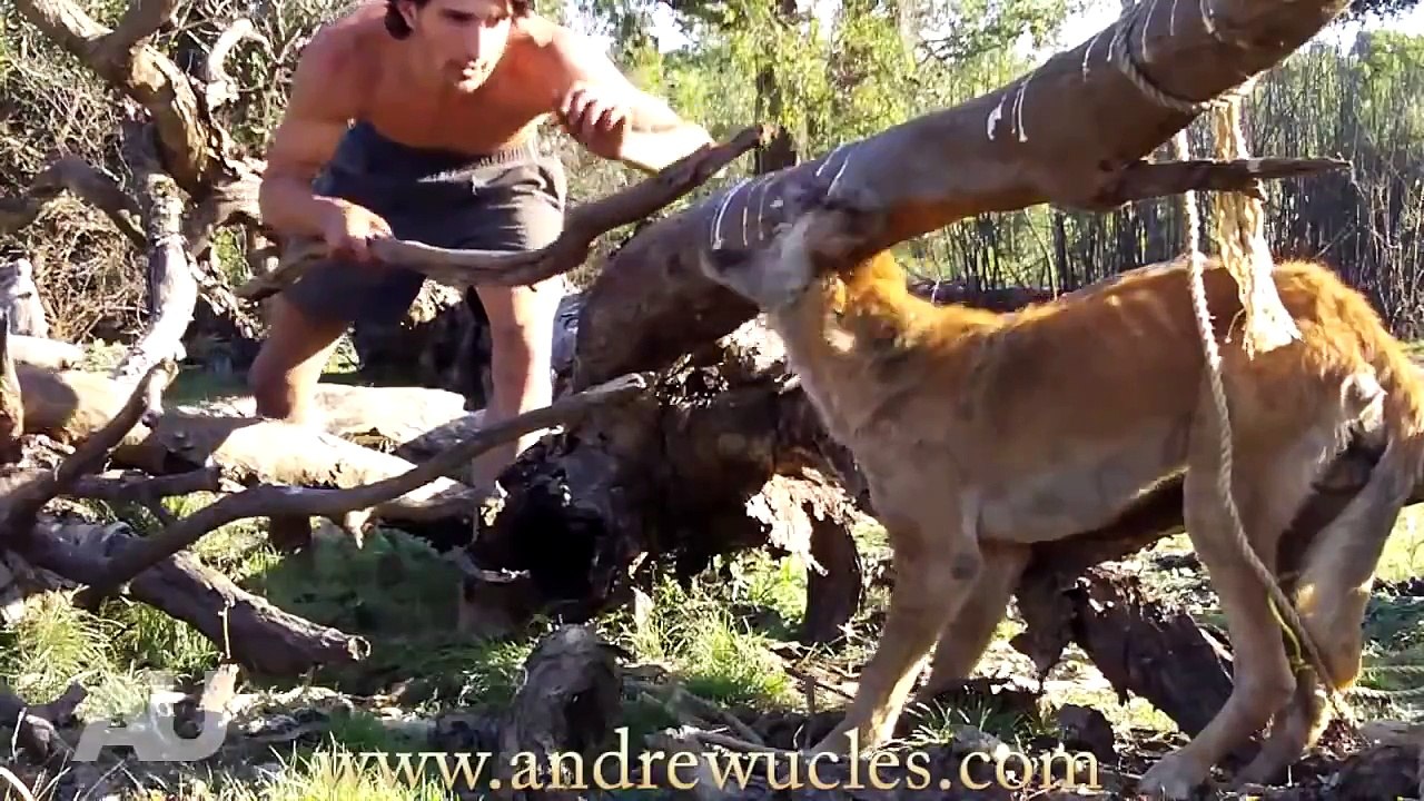 Wild Animals Caught Barehanded