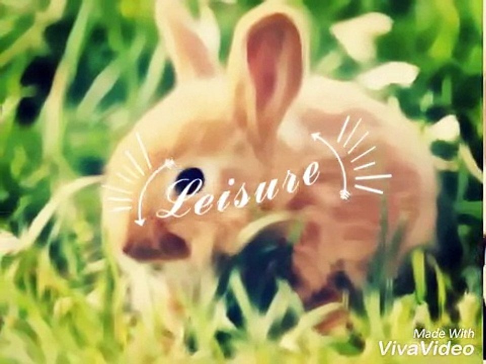 Oil painting slide show