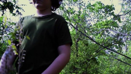 Apocalypse Now and Then