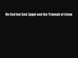 Download Book No God but God: Egypt and the Triumph of Islam E-Book Download