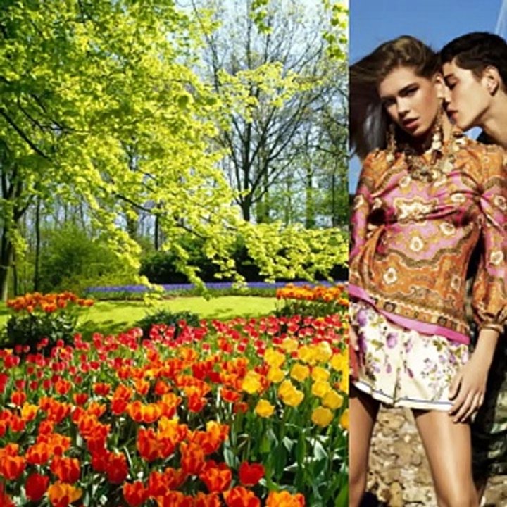 Spring Summer Winter And Fall.