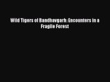 Download Books Wild Tigers of Bandhavgarh: Encounters in a Fragile Forest E-Book Free