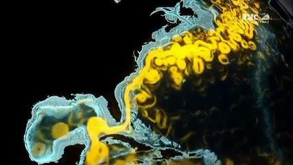 Documentaire, Tsunamis et vagues scélérates