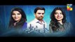 Dil E Beqarar Episode 10 Promo HUM TV Drama 8 June 2016