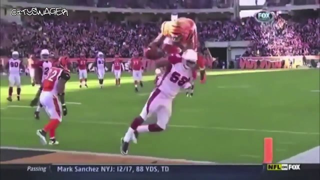 People Are Not Only Awesome - They Are Simply Amazing - Awesome People Doing Cool Stuff