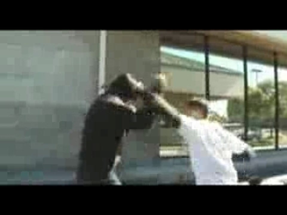 Martial Arts Street Fight