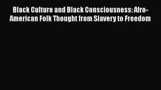 Read Book Black Culture and Black Consciousness: Afro-American Folk Thought from Slavery to