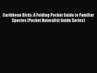 Read Books Caribbean Birds: A Folding Pocket Guide to Familiar Species (Pocket Naturalist Guide