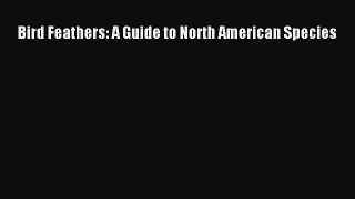 [Download] Bird Feathers: A Guide to North American Species PDF Free