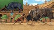 Making of Bahubali 2 VFX -- Bhallaladeva’s(Rana) bull fight sequence VFX Breakdown --HD 720p