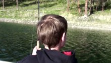 hawk steals boy's fish from the hook