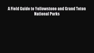[Download] A Field Guide to Yellowstone and Grand Teton National Parks PDF Free