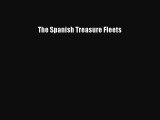 Enjoyed read The Spanish Treasure Fleets