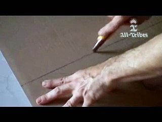 Sembra Che Stia Unendo Semplicemente dei Cartoni, Ma....