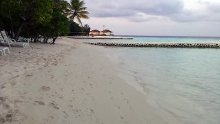 Maldive   Maayafushi   Marzo 2012   video 24