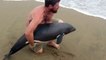 Sauvetage d'un bébé dauphin échoué sur la plage par un prof de Kayak en Namibie