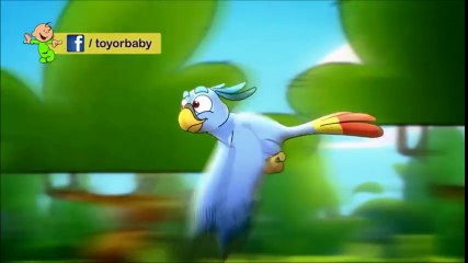 انشودة الببغاء - طيور بيبي وطيور الجنة