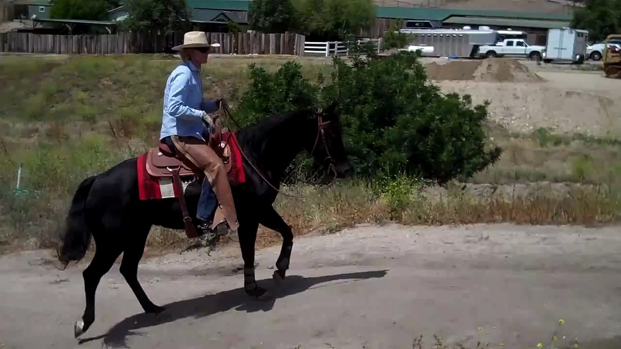 Video 27