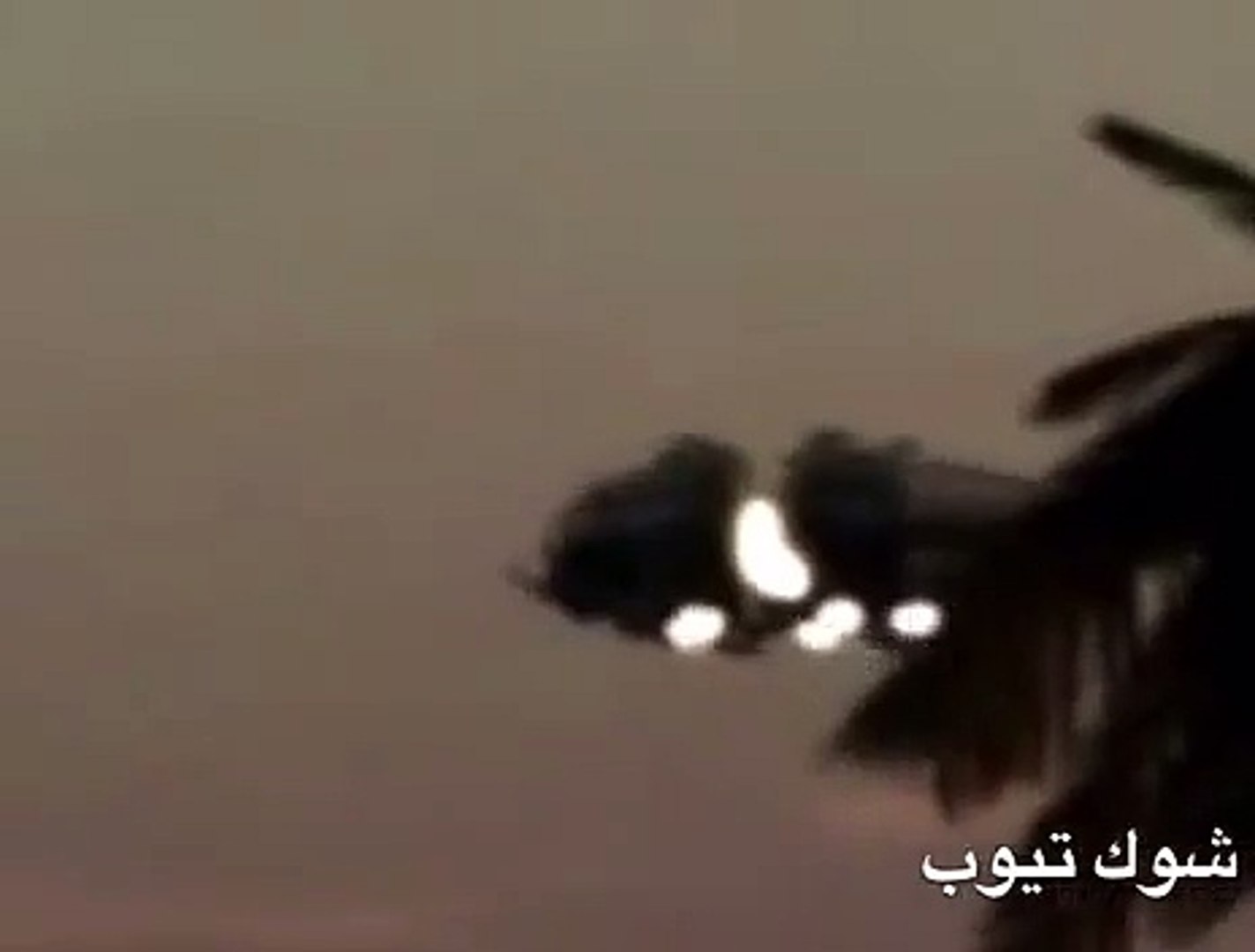 بشقاب پرنده در بوشهر
