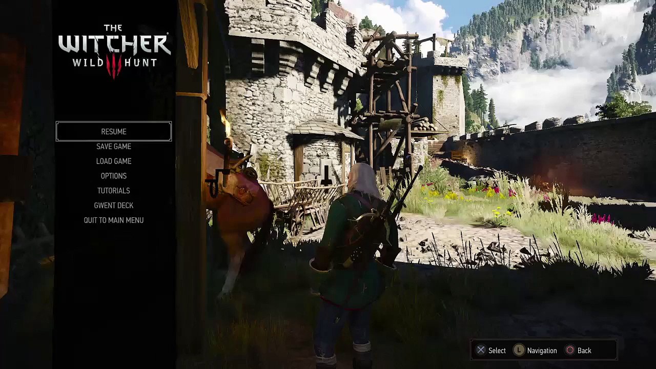 The Witcher 3: Wild Hunt Horny Horse?