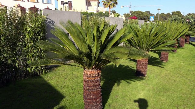 Элитная недвижимость в Испании - вилла Hi-Tech в Бенидорме