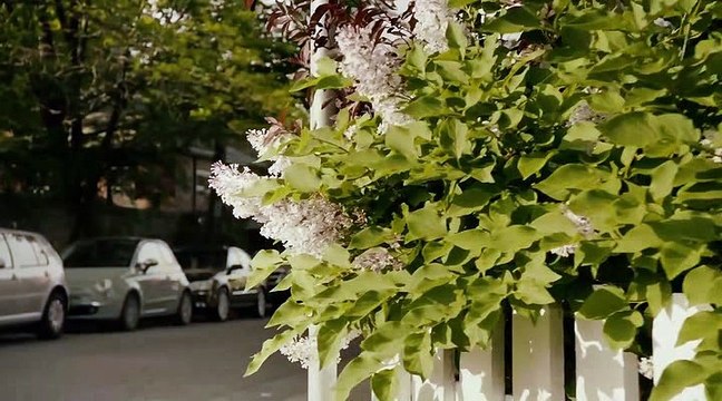 страшний вирус которий следит за нами....