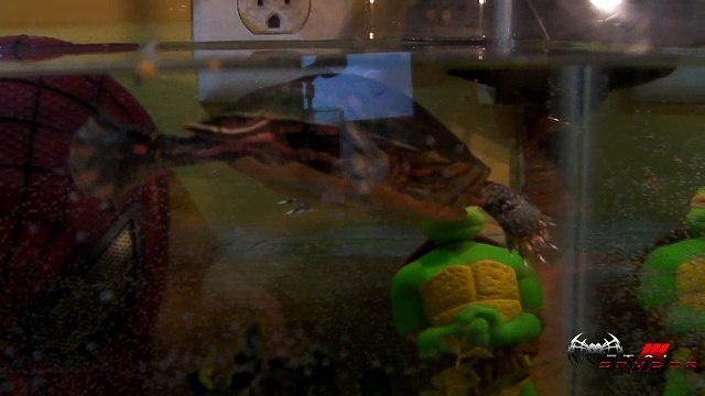 Teenage Non-mutant Domesticated Turtle