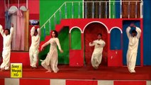 Payal Choudhary Ka Sex - Payal Choudhary Cute Mujra On Jithon Marzi Jawani Ched Punjabi ...