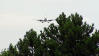 WestJet 737 landing in Toronto on RWY 23