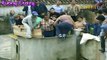 Funny bullfighting festival compilation - Funny videos try not to laugh Crazy bull attack people