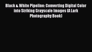 Read Black & White Pipeline: Converting Digital Color into Striking Grayscale Images (A Lark