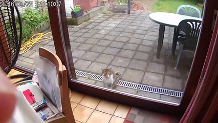 test-envivo1449-20160522-hevc750-vidcoder