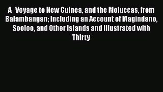 Read A Voyage to New Guinea and the Moluccas from Balambangan: Including an Account of Magindano