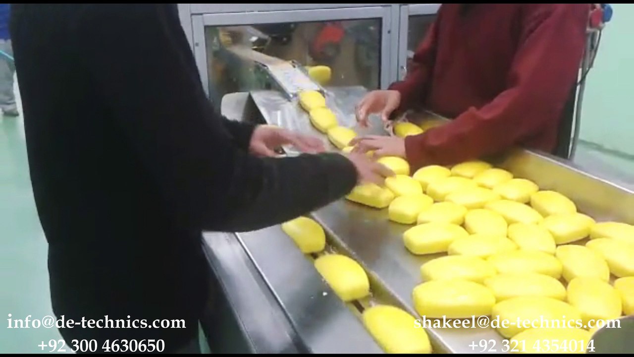 Soap Packing Machine, Flow Wrapper, Flow Wrap Machine, Flow Pack Machine, Horizontal Packaging Machine, Machi