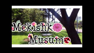 Mekishko Musume Robo Kiss Dance Cover TNT 26
