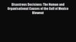 Read Book Disastrous Decisions: The Human and Organisational Causes of the Gulf of Mexico Blowout