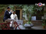 Boltay Afsanay - Tota Kahani - 11th June 2016