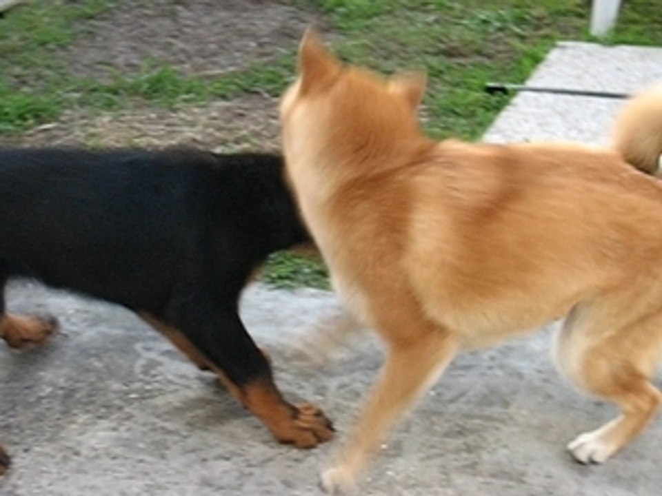 MVI_1320
