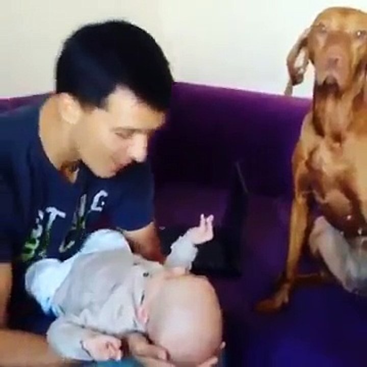 Ogni Volta Che Questo Neo-papà Bacia Suo Figlio, La Reazione Del Cane è Adorabile