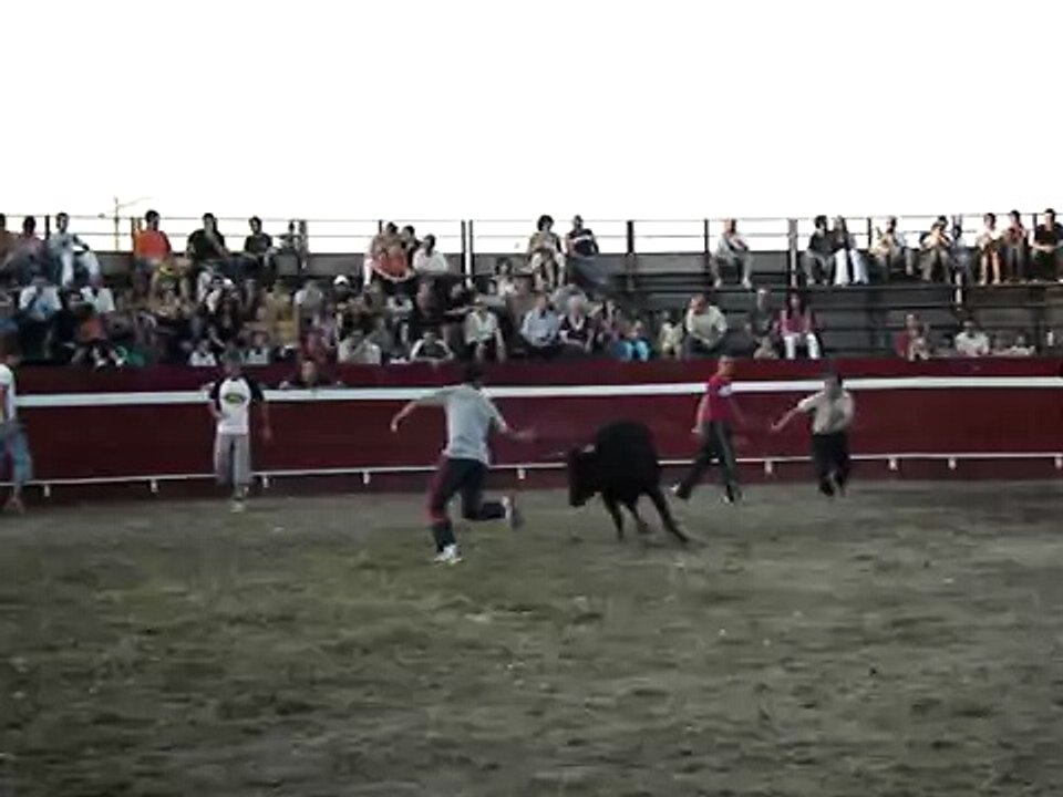 07/10 vaquillas - Corre, corre...