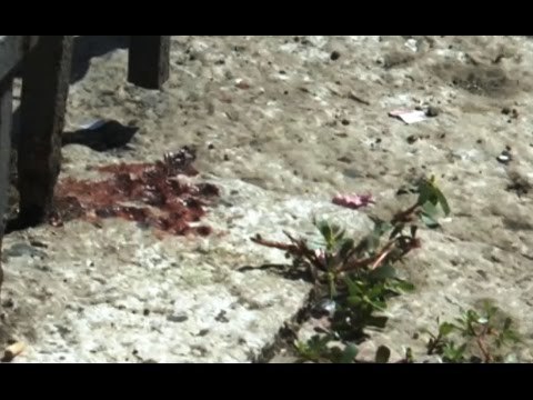 Napoli - Cade da obelisco di San Domenico, muore il giovane Emmanuele Pirozzi (10.06.16)