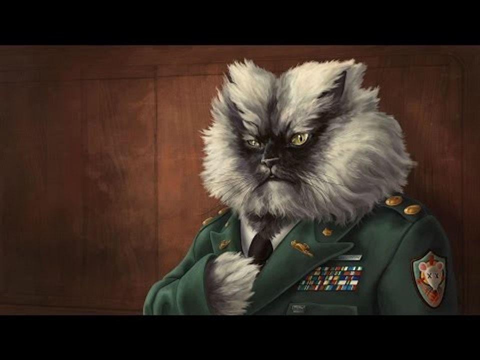 Những chú mèo hài hước nhất thế giới - Cats most famous funny world