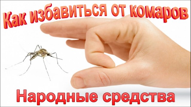 Как защититься от комаров. Народные средства.