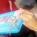 Lady Lets Massive Spider Crawl Over Her Hand
