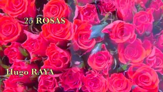 25 ROSAS - Hugo Raya